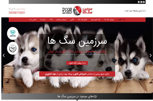 طراحی مججد سایت سرزمین سگ ها