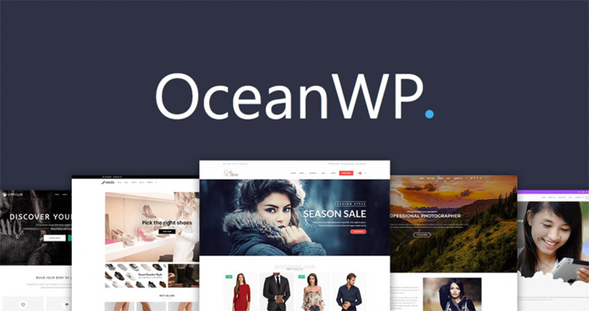 قالب سئو وردپرس Ocean WP