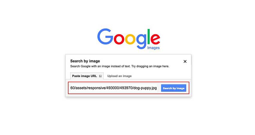 جستجوی تصاویر مشابه گوگل