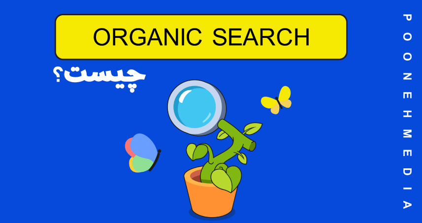 organic search چیست