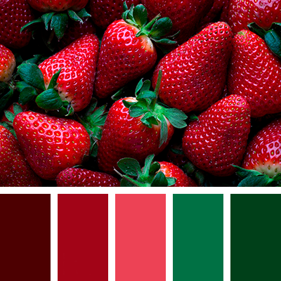 best color for web 6 - بهترین ترکیب رنگ ها برای طراحی وب سایت
