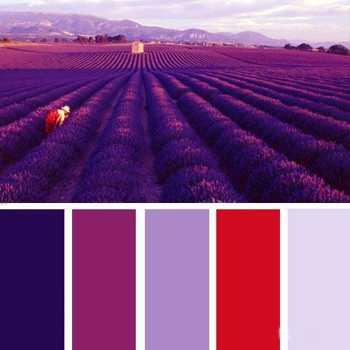 the best color for web 4 - بهترین ترکیب رنگ ها برای طراحی وب سایت