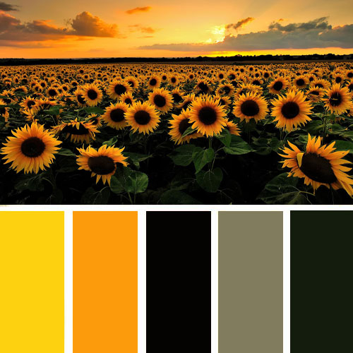 the best color for web 8 - بهترین ترکیب رنگ ها برای طراحی وب سایت