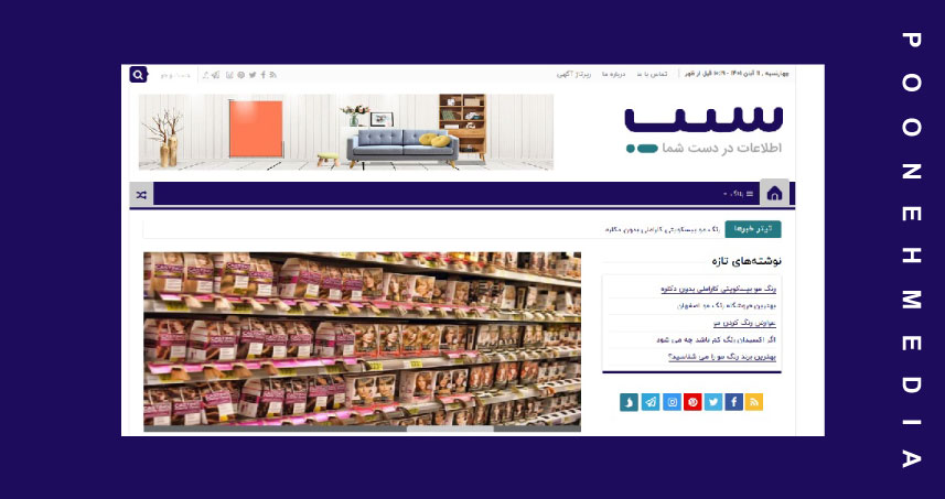 درباره طراحی سایت وردپرس در اصفهان با پونه مدیا