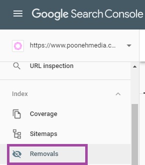 removals در گوگل سرچ کنسول