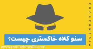 سئو کلاه خاکستری