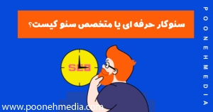 سئوکار حرفه ای