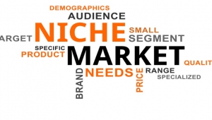 نیچ مارکتینگ niche marketing چیست؟ 