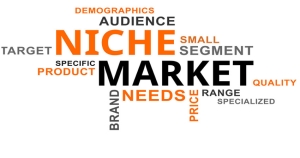 نیچ مارکتینگ niche marketing چیست؟ 