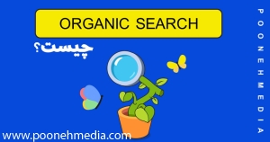 organic search چیست