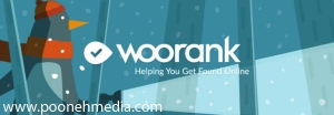 با woorank سایت خود را آنالیز کنید!