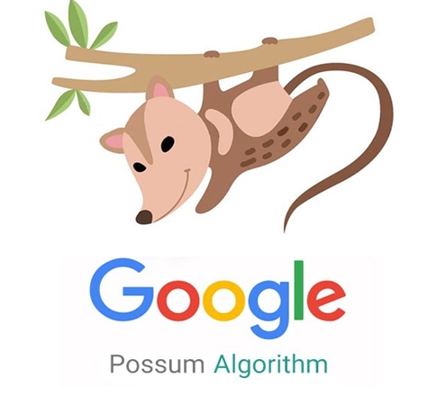 الگوریتم موش کور گوگل چیست ؟ تاثیر Possum Algorithm در سئو سایت