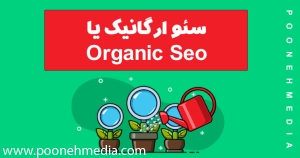 سئو ارگانیک یا organic seo چیست