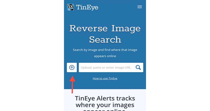 جستجوی عکس با سایت tineye در موبایل