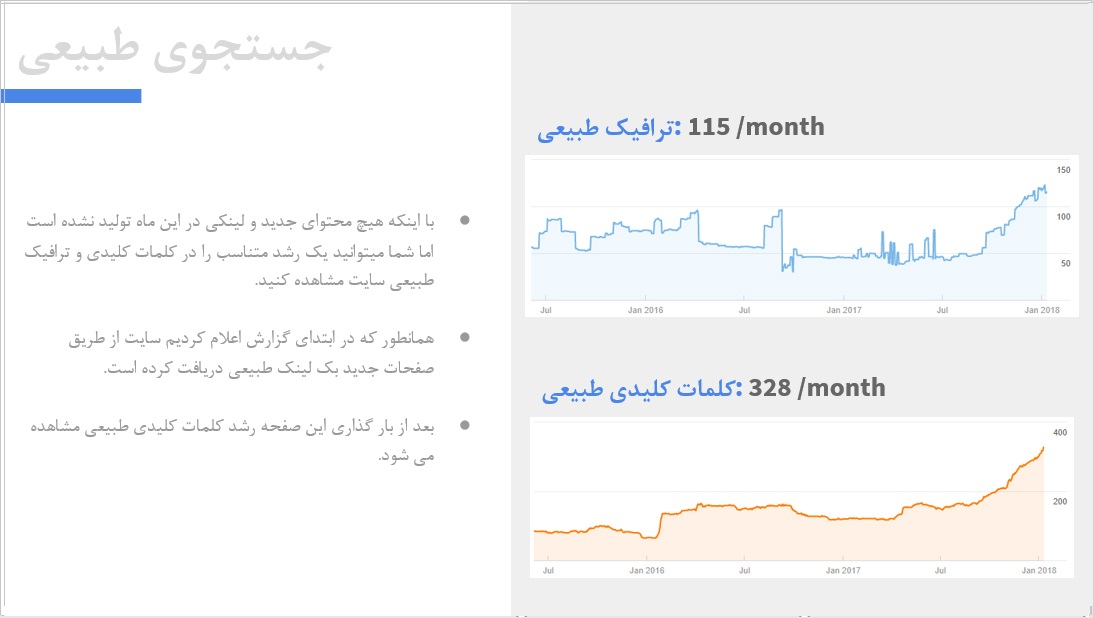 گزارش جستجوی طبیعی