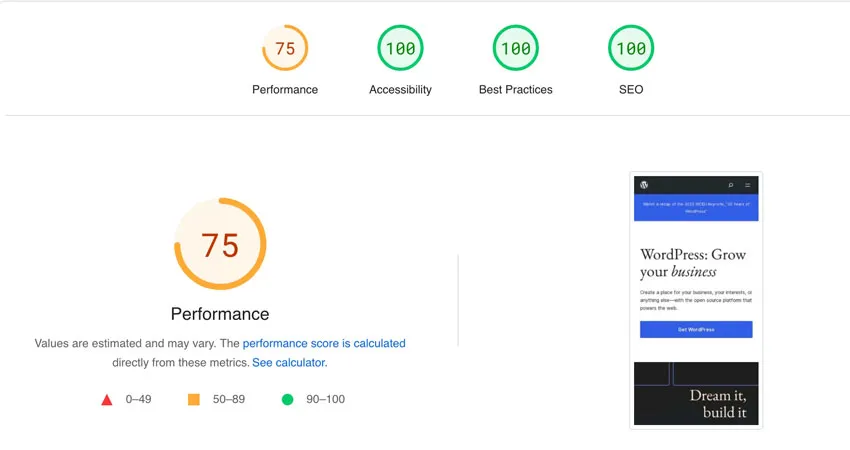 PageSpeed Insights