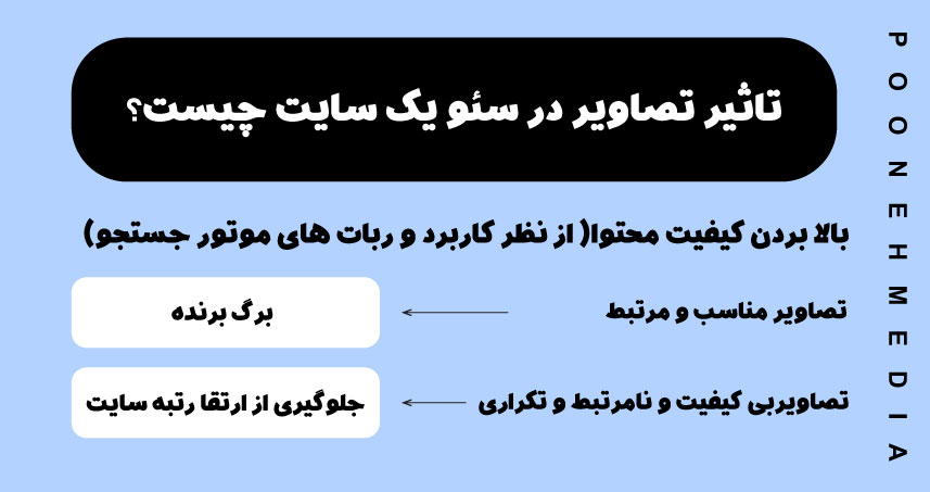 تاثیر عکس در سئو 
